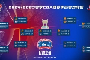 赛事预测-杨鸣预测总决赛：广厦4比3击败北京夺冠