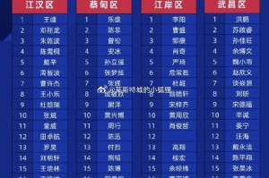 武汉“汉超”公布球员名单，此前随江汉区训练的刘邵子洋未在列